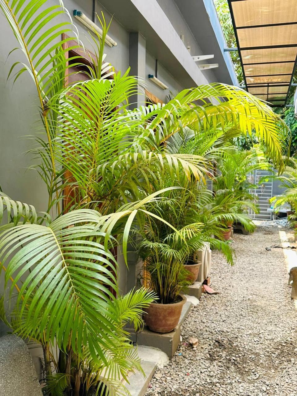 Angkor Piseth Homestay Siem Reap Extérieur photo